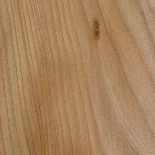 CEDRO